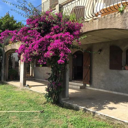 80 Route De San Martino Appartement Bastia  Buitenkant foto