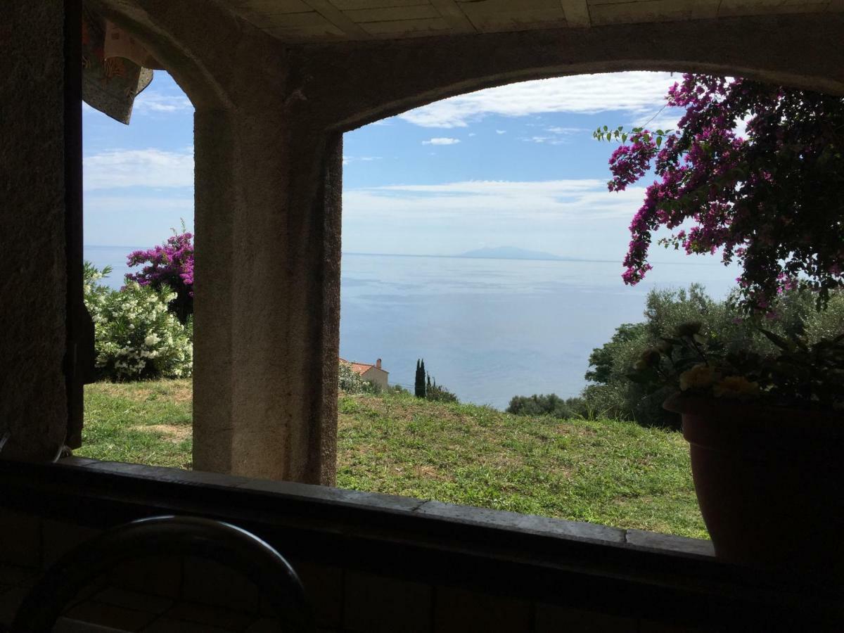 80 Route De San Martino Appartement Bastia  Buitenkant foto
