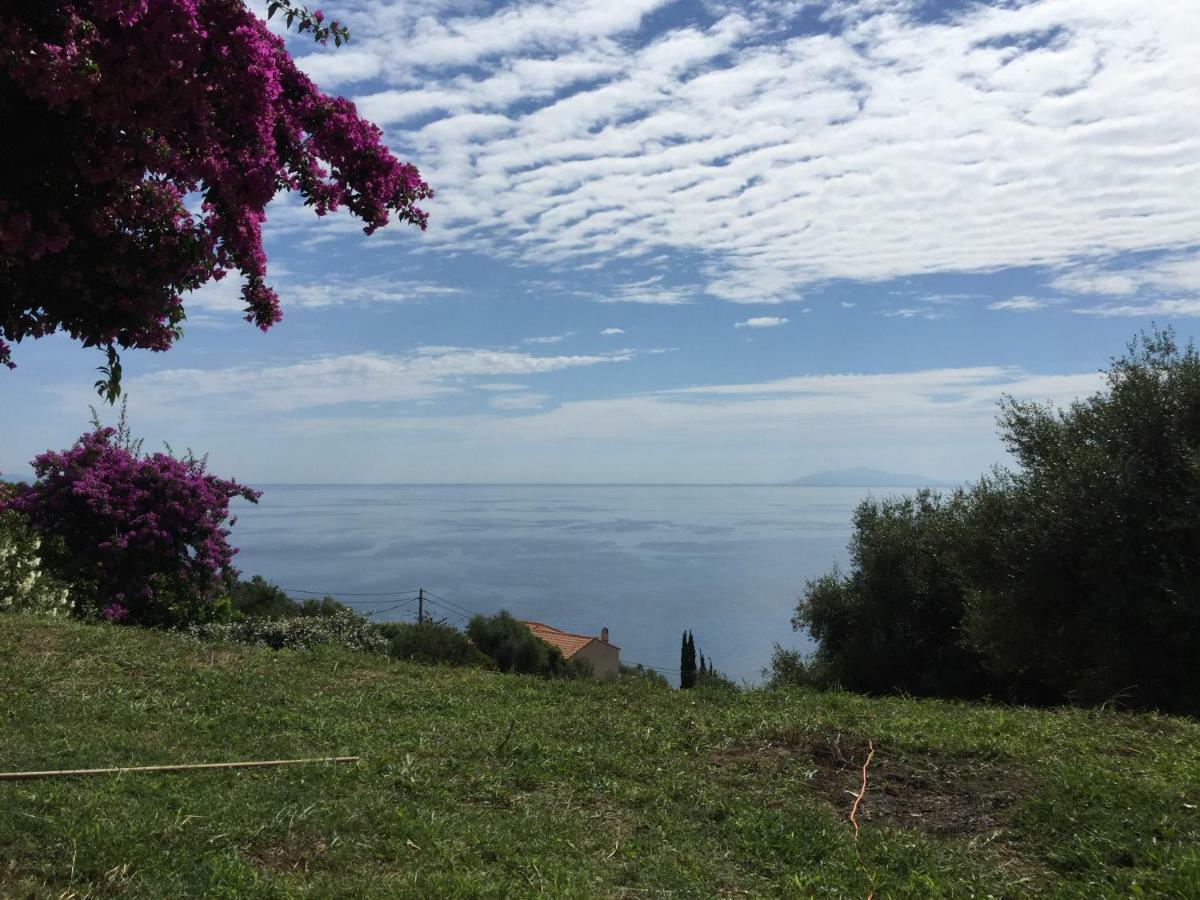80 Route De San Martino Appartement Bastia  Buitenkant foto